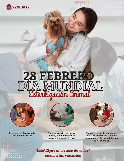 I DiaMundialDeLaEsterilizacionAnimal jpg