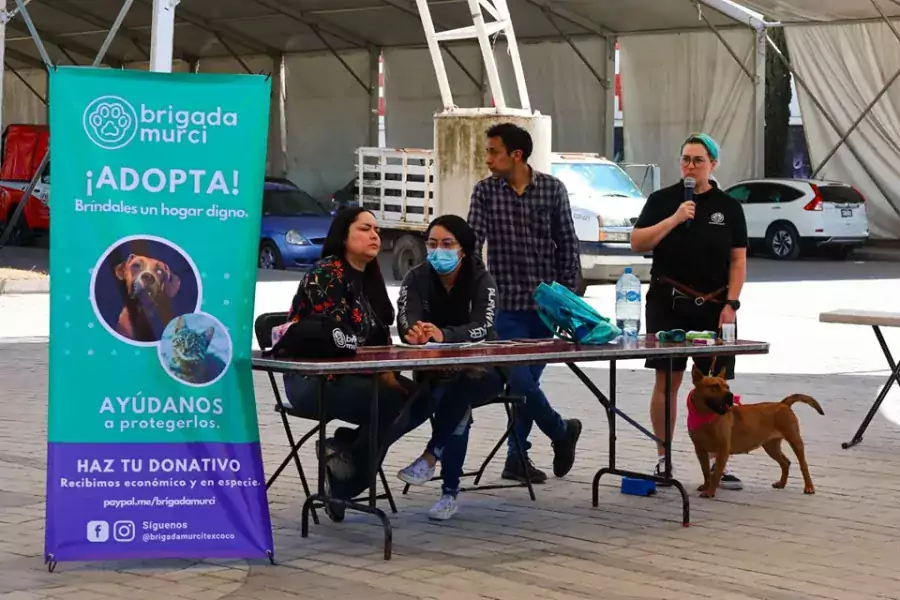 Imagenes de la Primer Feria Dominical de Adopcion que se jpg