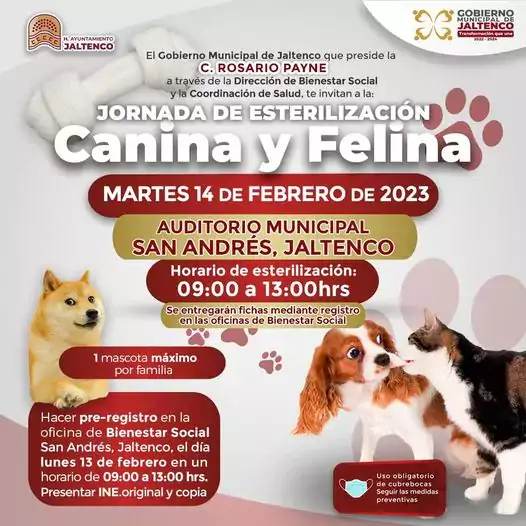 JORNADA DE ESTILIZACION CANINA Y FELINA jpg