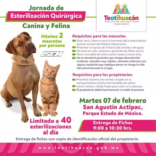 Jornada de Esterilizacion Gratuita SAN AGUSTIN ACTIPAC Y COMUNIDADES ALEDANAS jpg