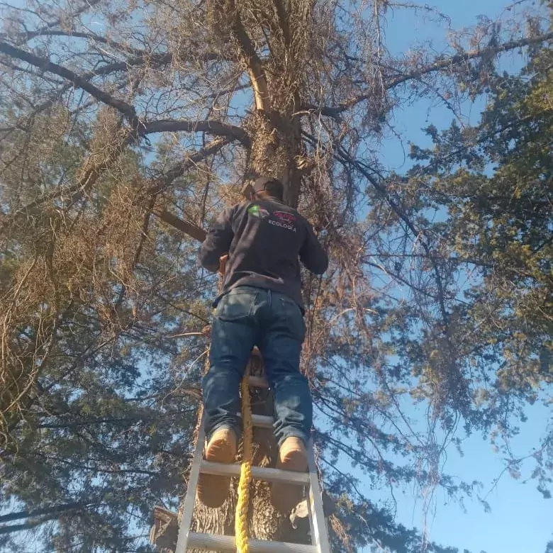 La Direccion de Ecologia de Otumba acudio a la primaria jpg