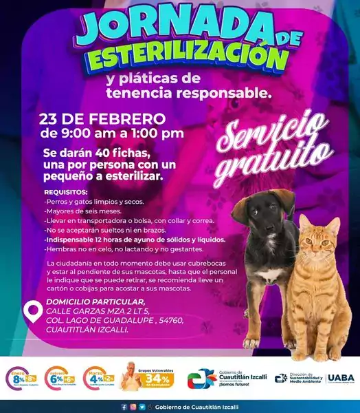 Lleva a tu mascota a la Jornada de Esterilizacion Canina jpg