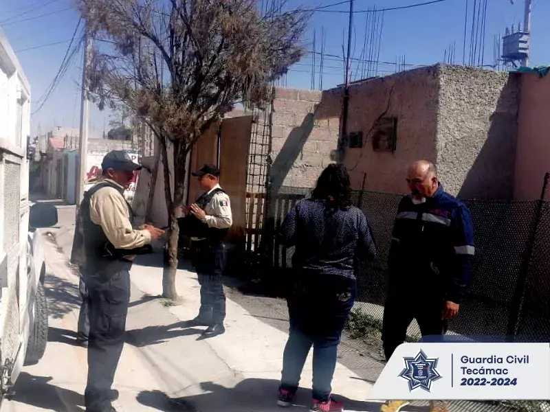 Los caninos ya se encuentran resguardados en nuestro Centro de jpg