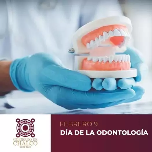 Los dientes son una parte fundamental de la salud fisica jpg