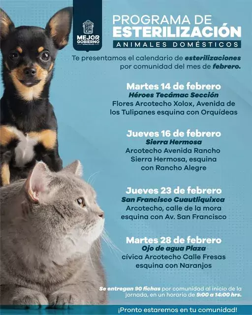 No olvides hoy inician nuestras jornadas de esterilizacion en Los jpg