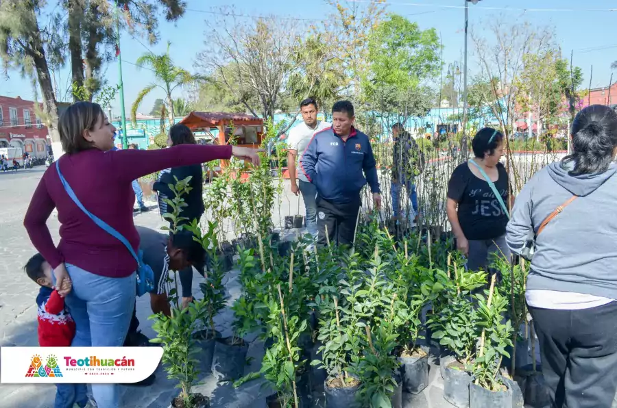 Nuestra Direccion de Fomento Agropecuario en coordinacion con el vivero jpg