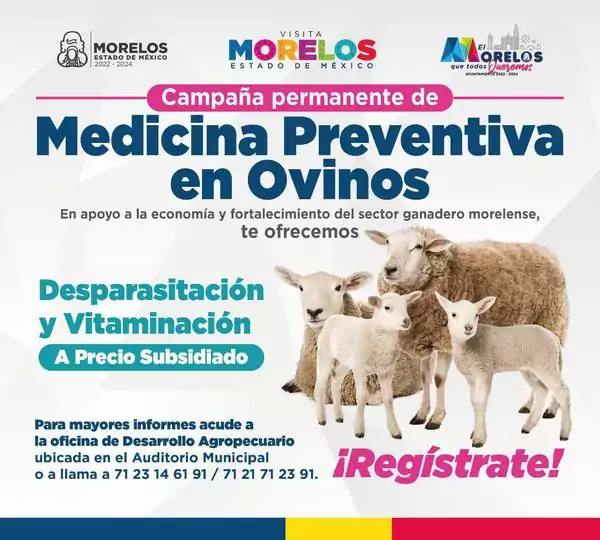 Nuestra campana de medicina preventiva en ovinos sigue estando a jpg