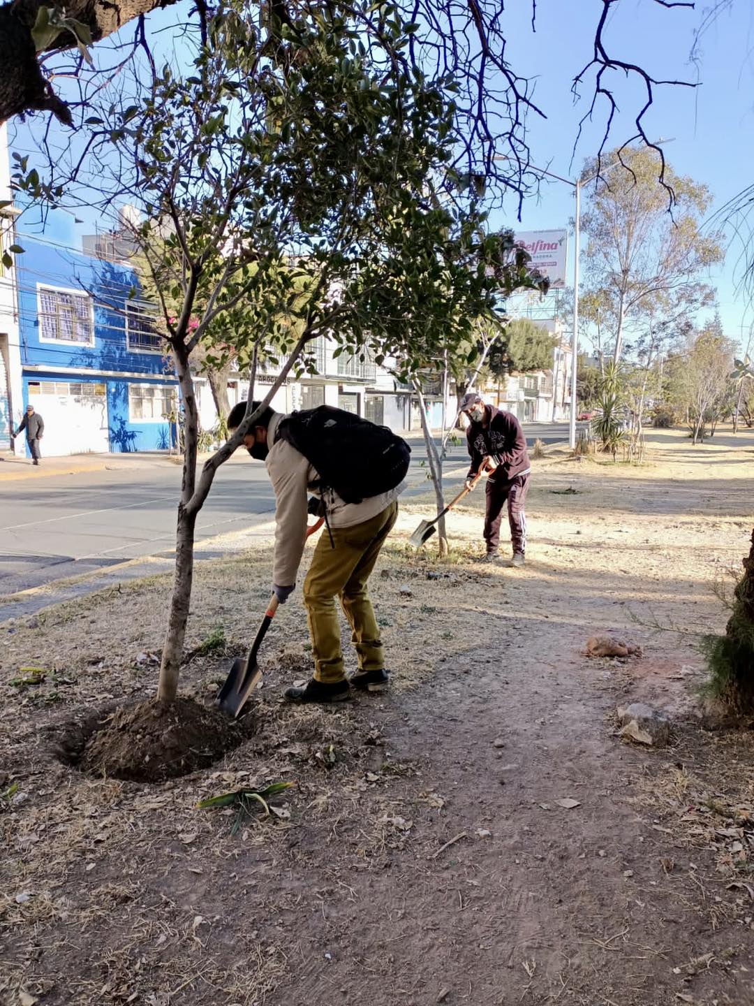 ServiciosPublicos A fin de mantener calles mas limpias y