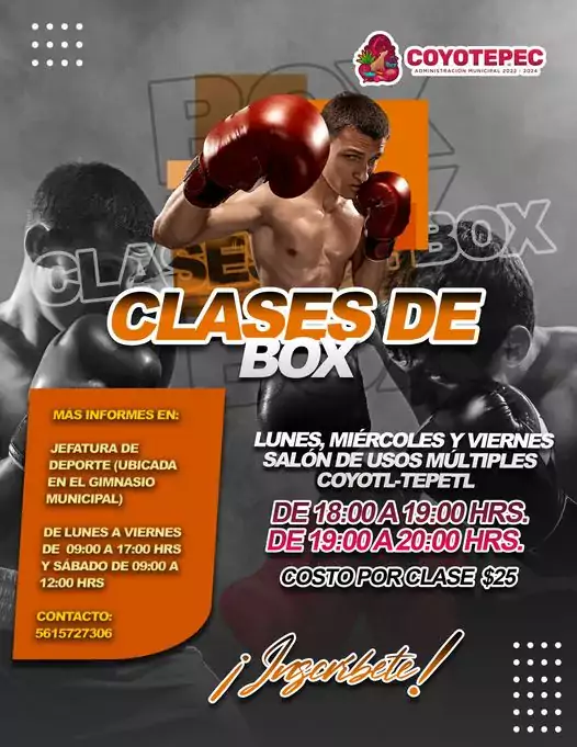 Talleres2023 I ClasesDeBox jpg