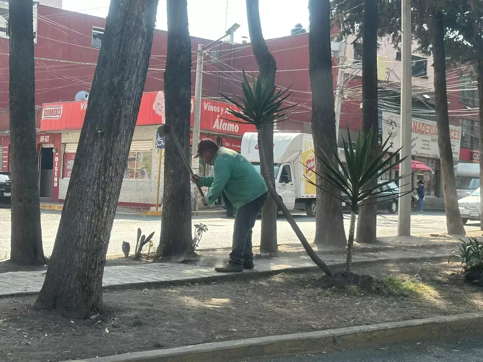 Todos los dias desde muy temprano brigadas de Metepec Servicios jpg