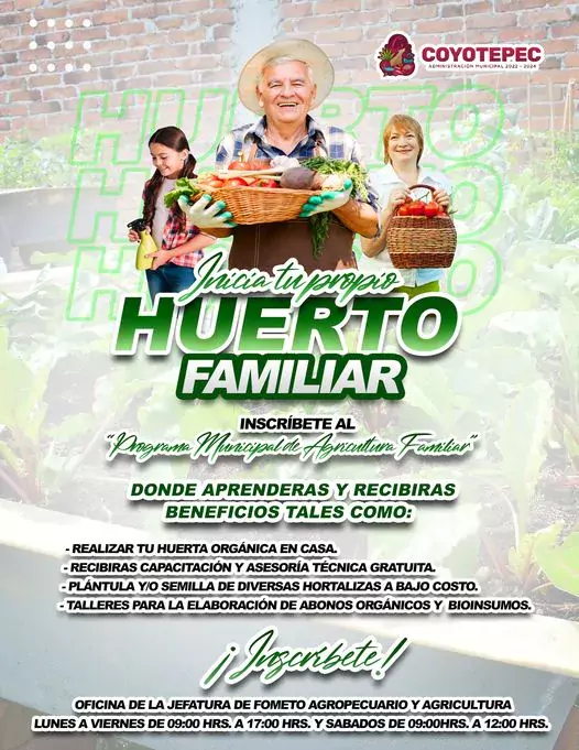 huertofamiliar ¿Quieres iniciar tu propio huerto en casa ¡Esta es jpg