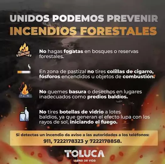 ¡Ayudanos a prevenir incendios forestales Te compartimos algunas recomendacio jpg