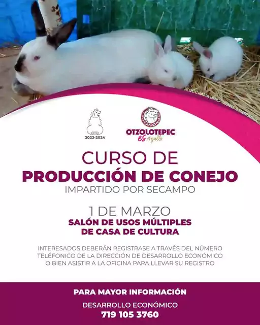 ¿Te llama la atencion criar conejos para consumir deliciosa carne jpg