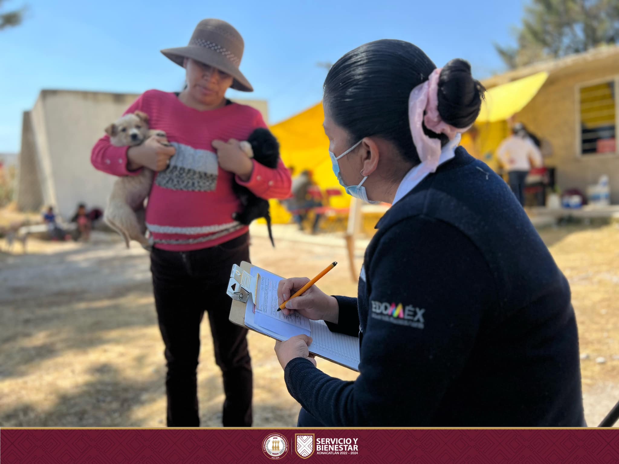 1678194738 216 La jornada de esterilizacion canina y felina continuan a lo