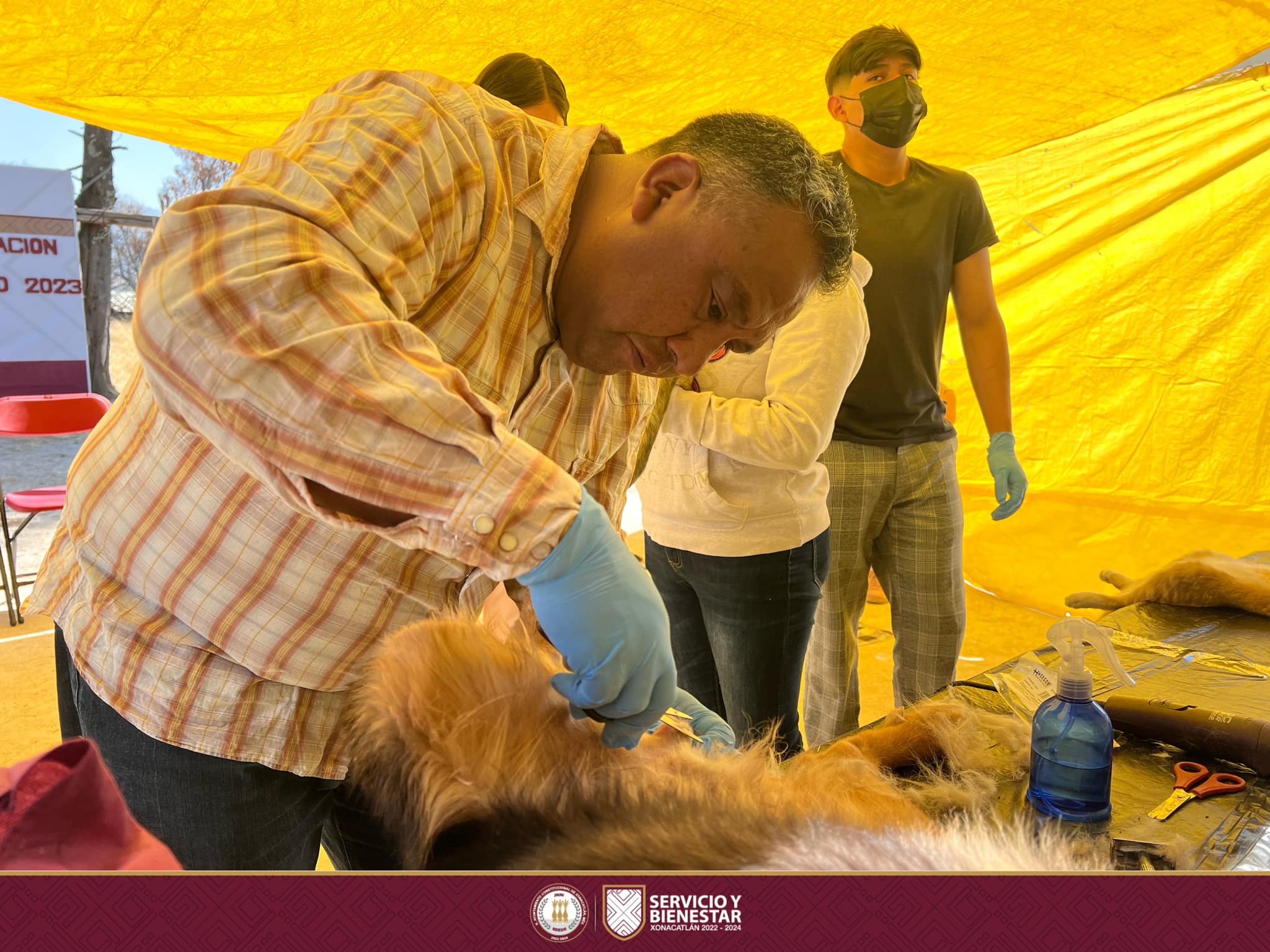 1678194747 209 La jornada de esterilizacion canina y felina continuan a lo