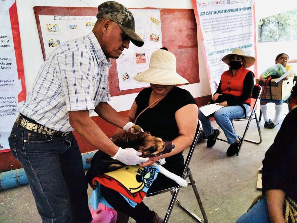 1678309696 238 Realizamos la jornada de esterilizacion canina y felina en la