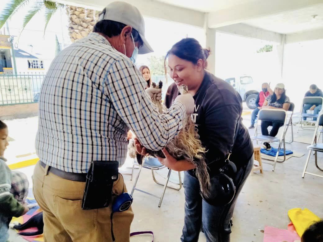 1678309701 369 Realizamos la jornada de esterilizacion canina y felina en la