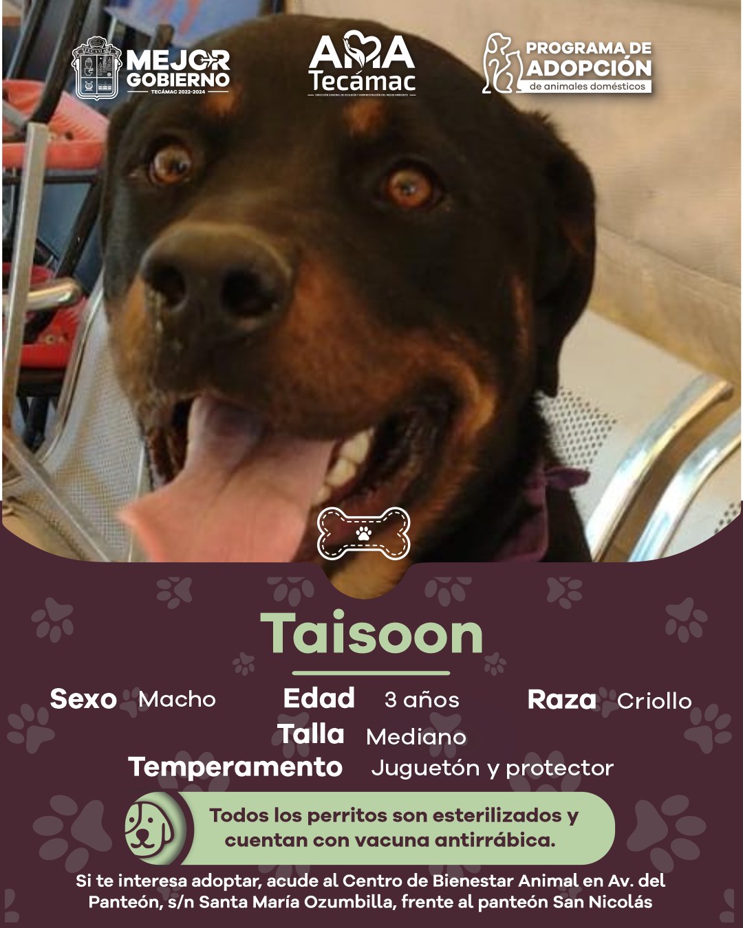 1678396973 862 En Tecamac promovemos la AdopcionResponsable