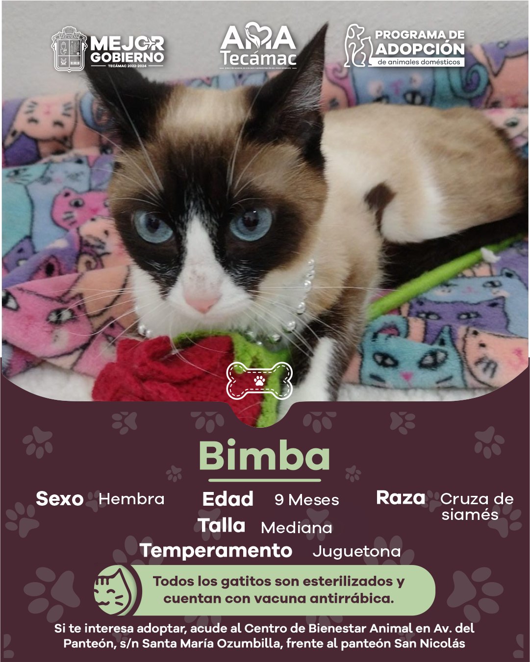 1678396982 805 En Tecamac promovemos la AdopcionResponsable