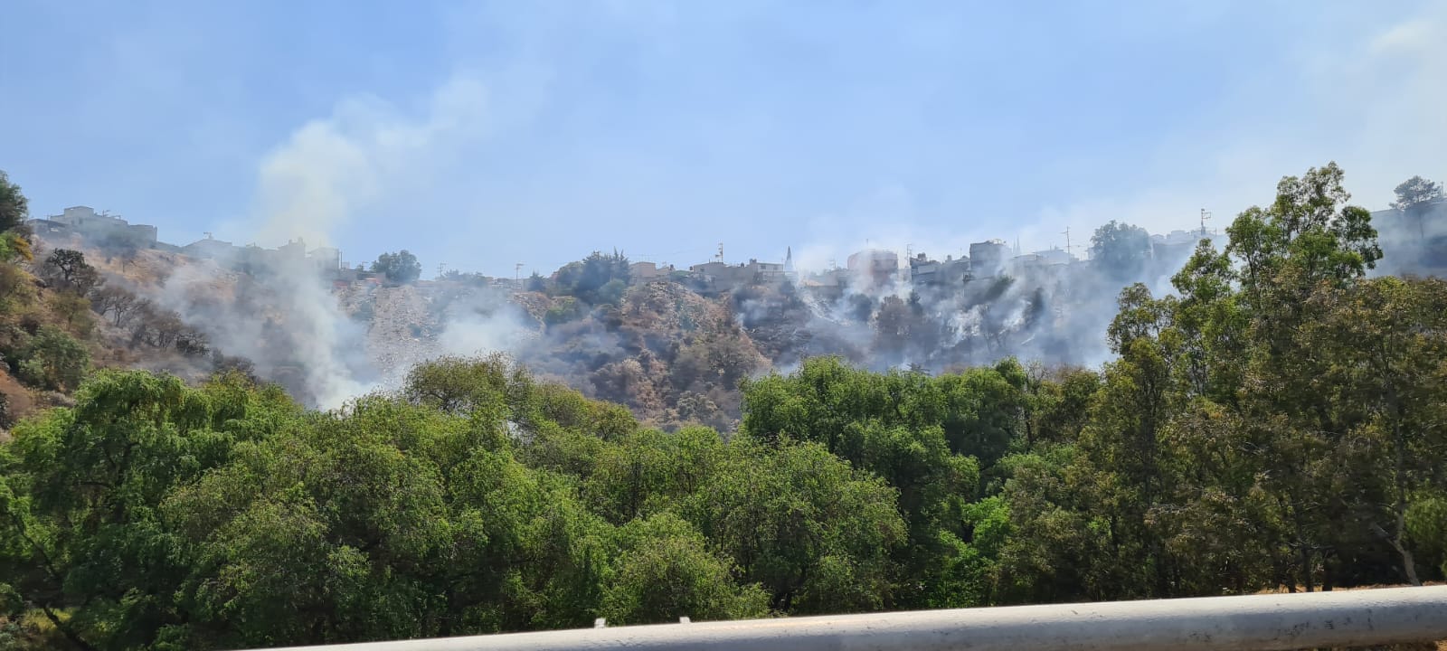 1678397376 266 La mayoria de los incendios son provocados muchos de ellos