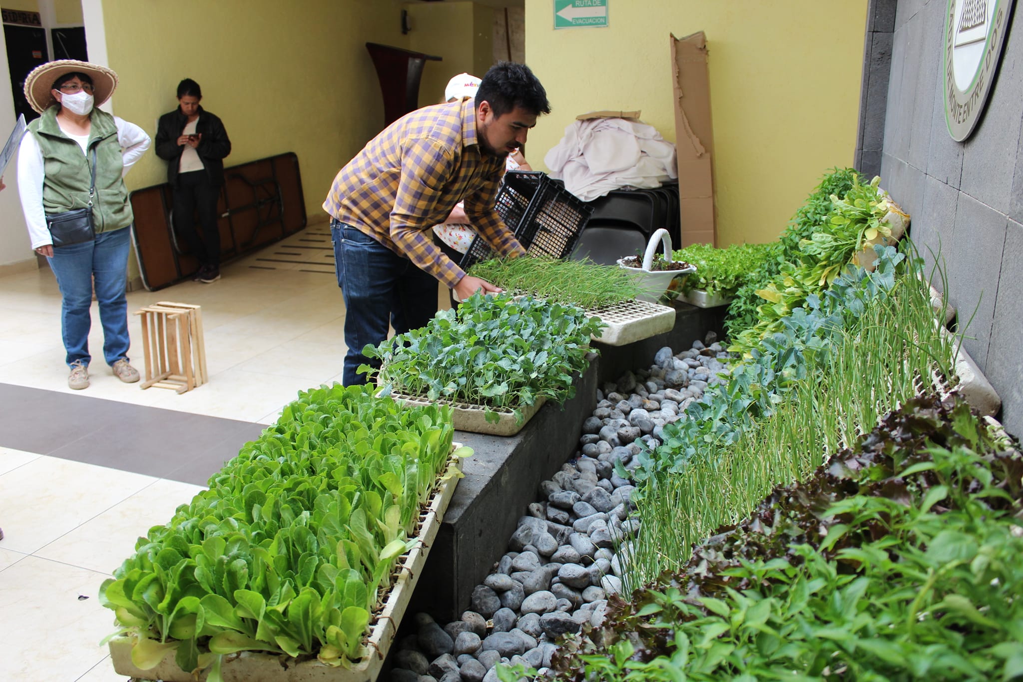 1678548678 183 Con el fin de fomentar la agricultura en el municipio