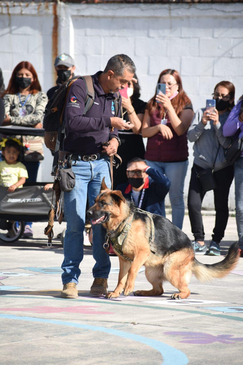 1678549704 414 ¿Sabes que es la tenencia responsable de mascotas La Unidad