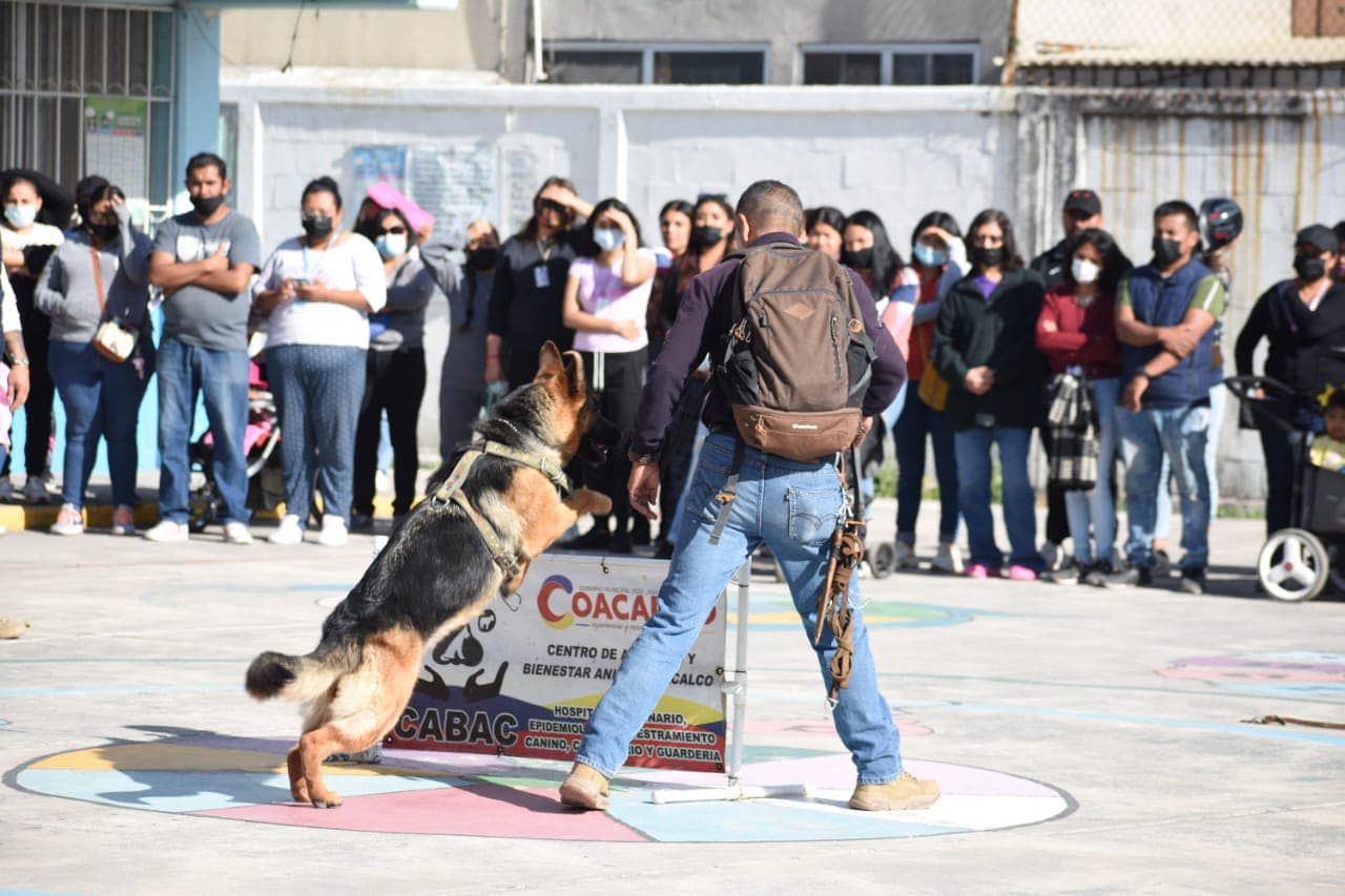 1678549712 717 ¿Sabes que es la tenencia responsable de mascotas La Unidad