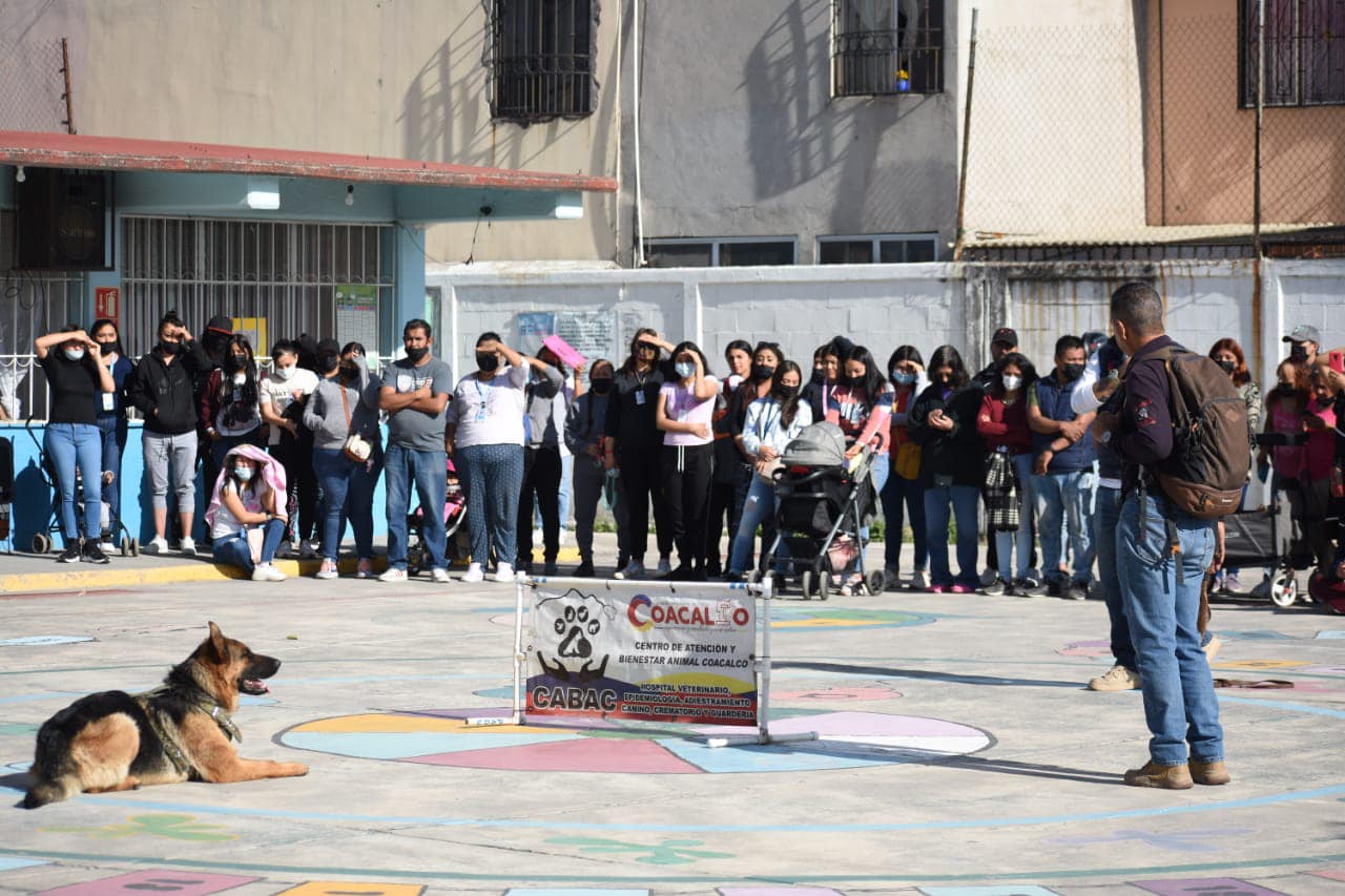 1678549717 512 ¿Sabes que es la tenencia responsable de mascotas La Unidad