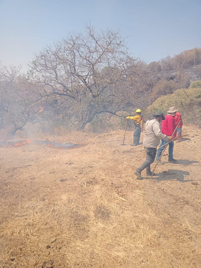 1678552400 797 Ya se encuentra controlado el Incendio registrado en la parte