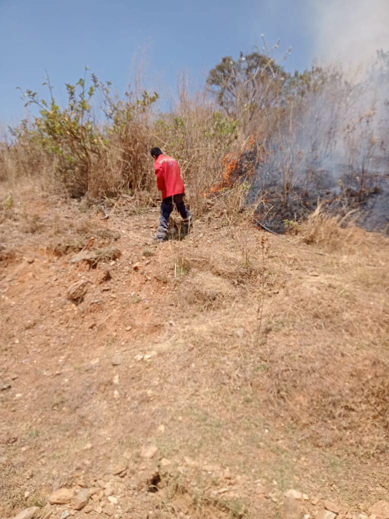 1678552427 Ya se encuentra controlado el Incendio registrado en la parte