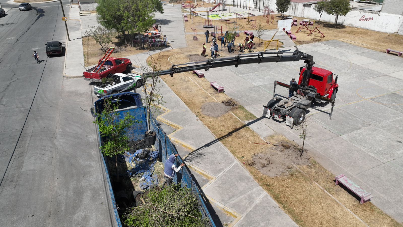 1678555046 733 Realizamos la primera jornada de arborizacion de este 2023 en