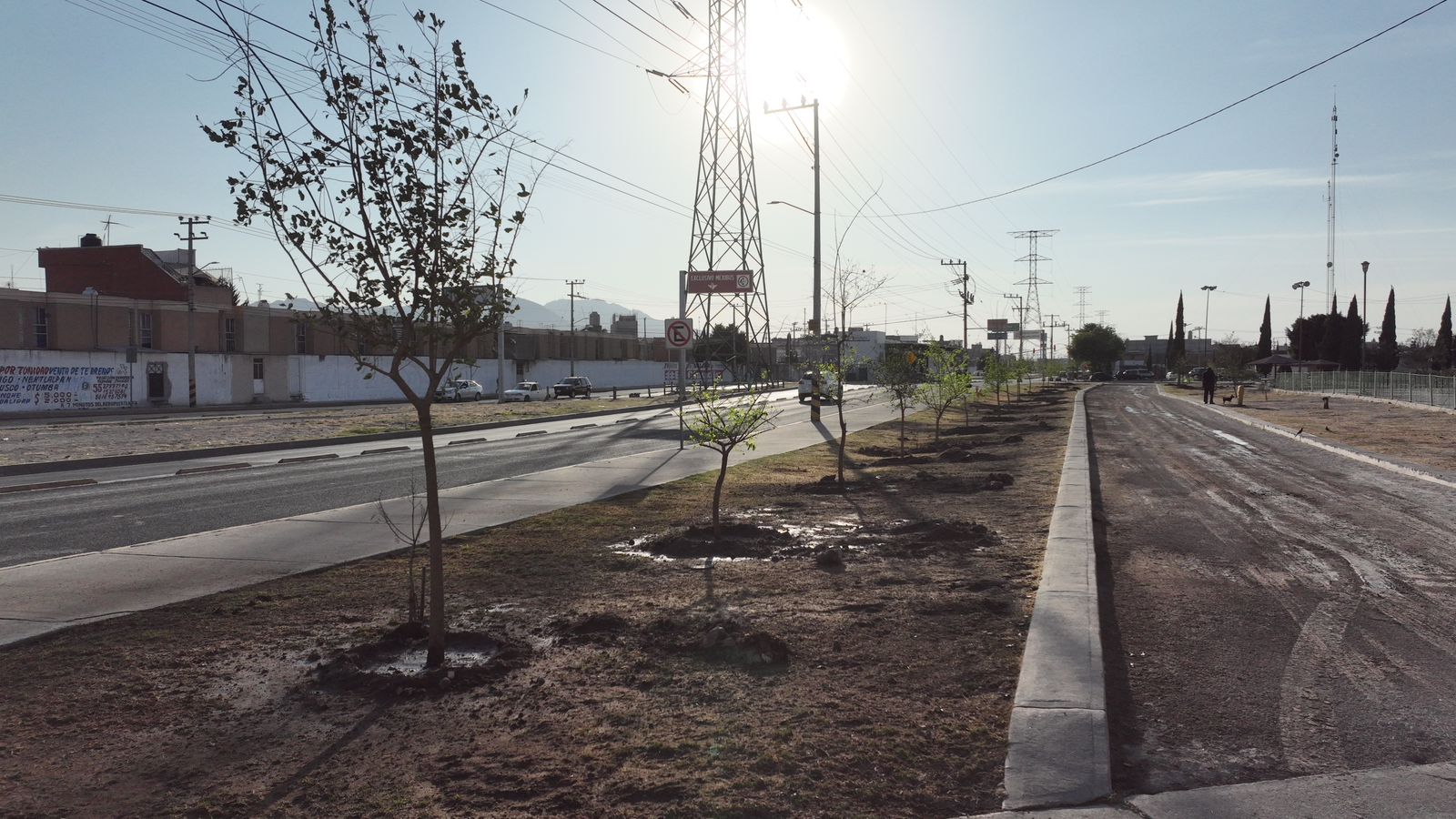 1678555050 823 Realizamos la primera jornada de arborizacion de este 2023 en