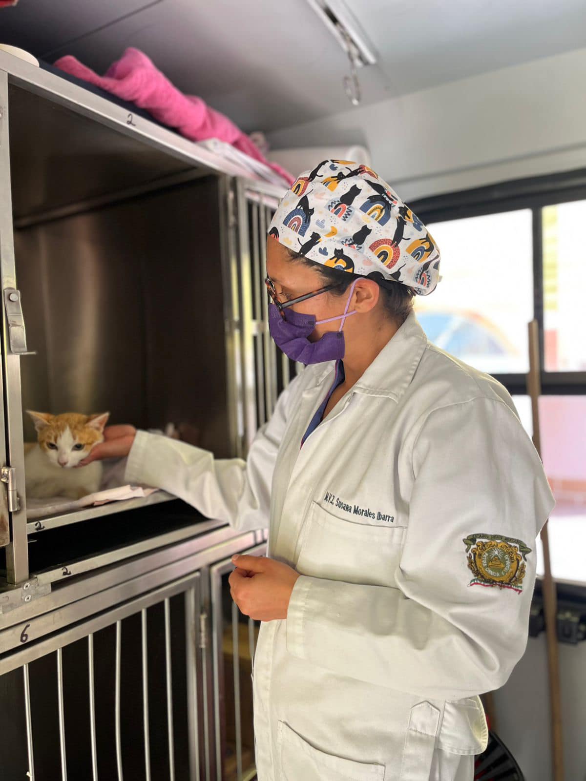 1678555277 239 Se llevo a cabo la esterilizacion para felinos y caninos