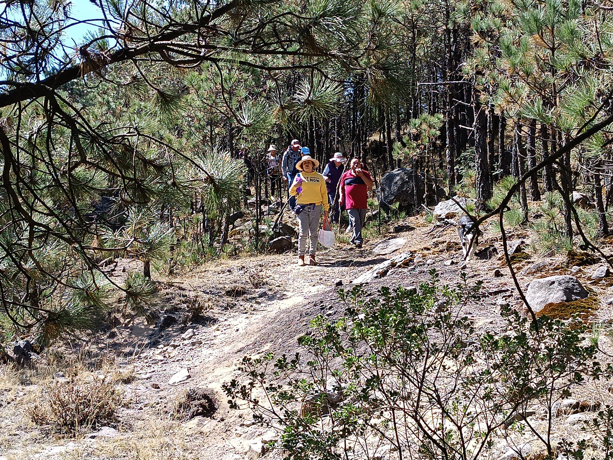 1678631010 706 Replantear las actividades turisticas y apoyar el ConsumoLocal es importante