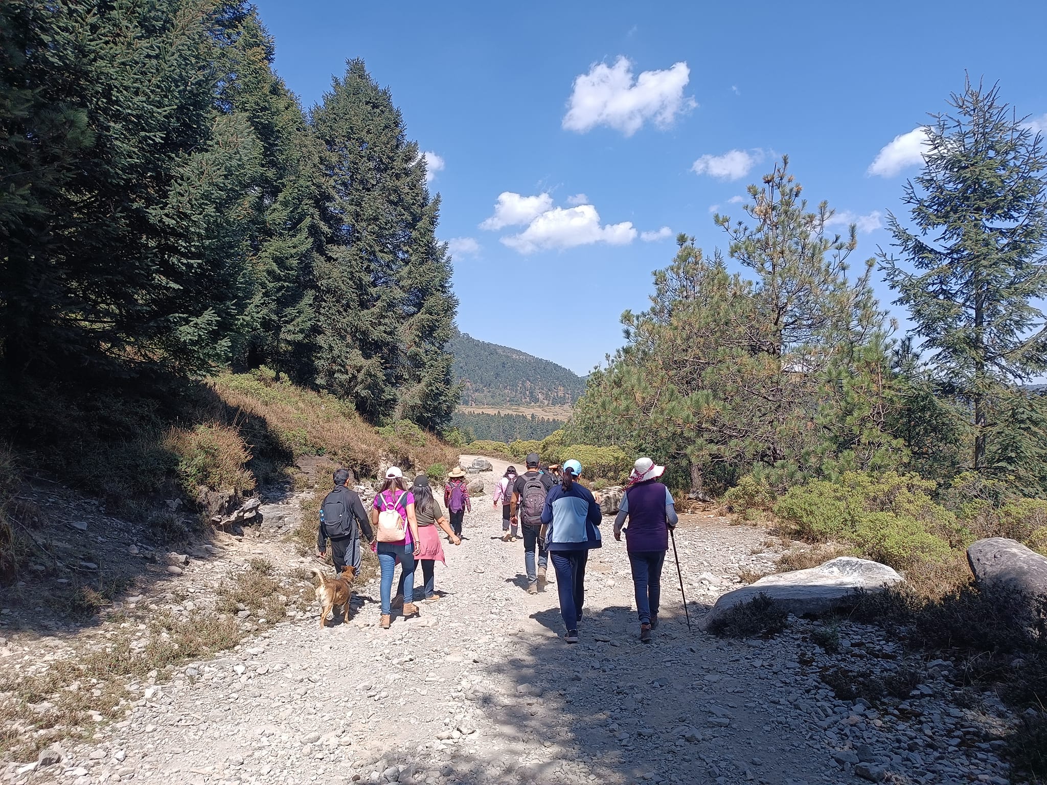 1678631020 915 Replantear las actividades turisticas y apoyar el ConsumoLocal es importante