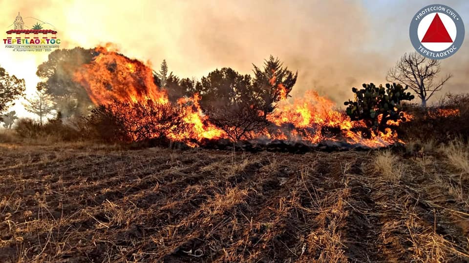 1678636559 Reporta de inmediato en caso de incendio al numero de