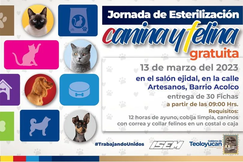 1678636642 Jornada de esterilizacion canina y felina jpg