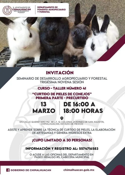 1678660417 Participa en el taller gratuito Curtido de Pieles de Conejos jpg