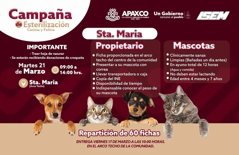 1678661570 EN SANTA MARIA ESTERILIZACION CANINA Y FELINA jpg