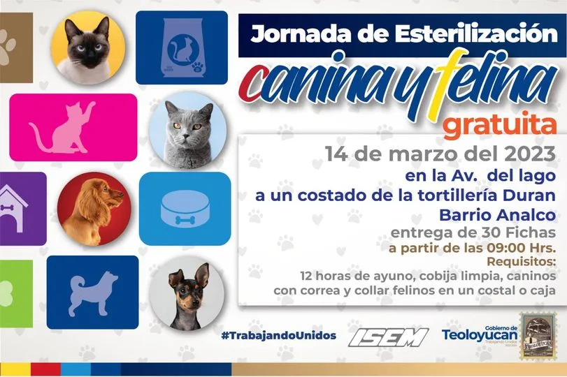 1678738158 Jornada de esterilizacion canina y felina TrabajandoUnidos jpg