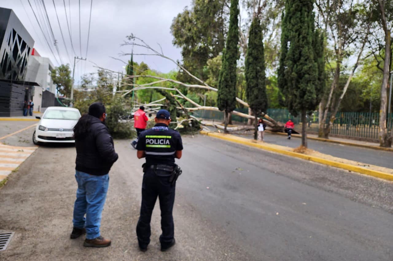 1678751838 434 PRECAUCION Derivado de los fuertes vientos registrados nuestro Heroico