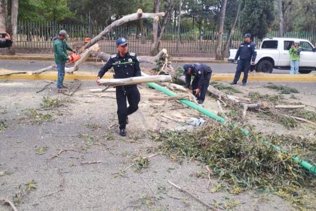 1678751841 330 PRECAUCION Derivado de los fuertes vientos registrados nuestro Heroico