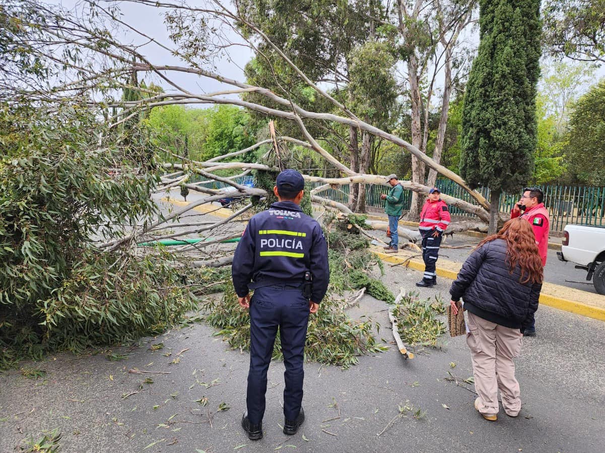 1678751858 PRECAUCION Derivado de los fuertes vientos registrados nuestro Heroico