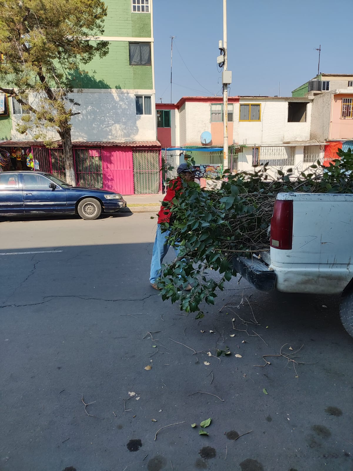 1678821751 5 El Gobierno Municipal de Jaltenco que preside la Rosario Payne