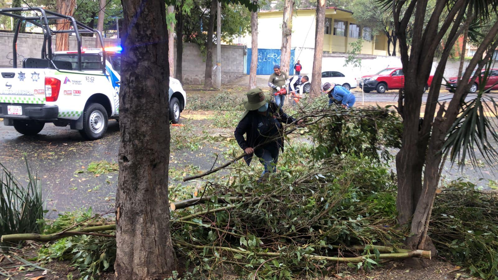 1678837514 276 Debido a fuertes vientos se reporto la caida de arboles