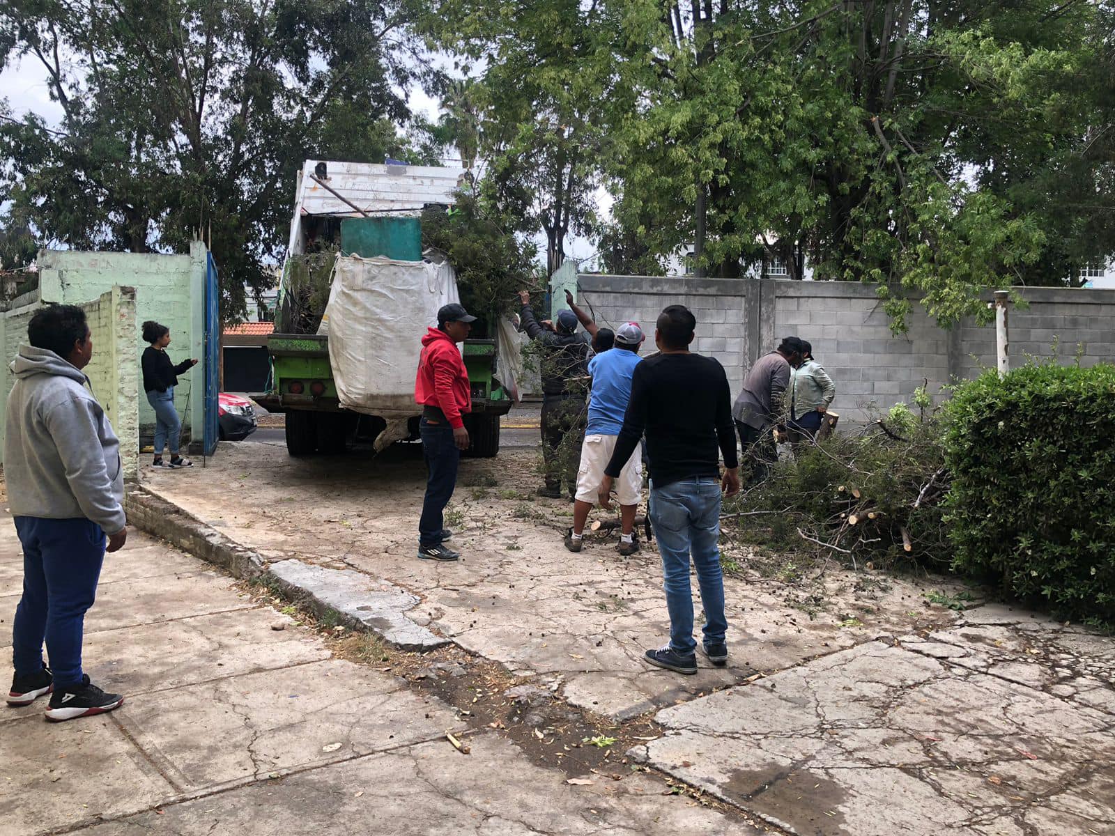 1678837525 732 Debido a fuertes vientos se reporto la caida de arboles