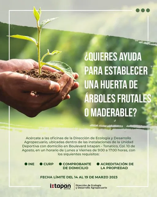 1678886476 Con el programa de reforestacion 2023 podemos ayudarte a establecer jpg