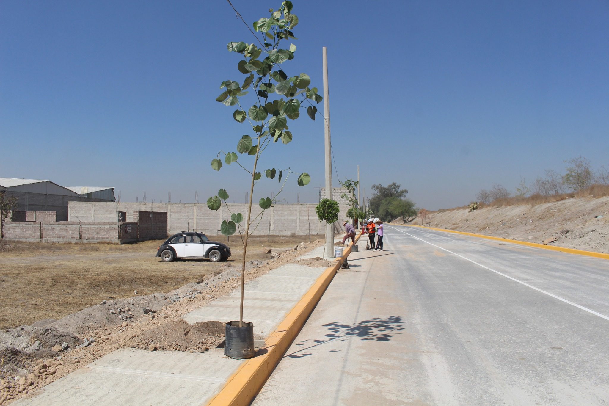 1678898183 413 ¡¡¡REFORESTACION EN CALLE COLIBRIES CONEXION PRADOS Y AGUILUCHOS