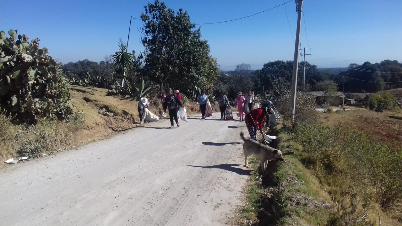 1678899379 68 La Direccion de Ecologia y medio ambiente continua con el