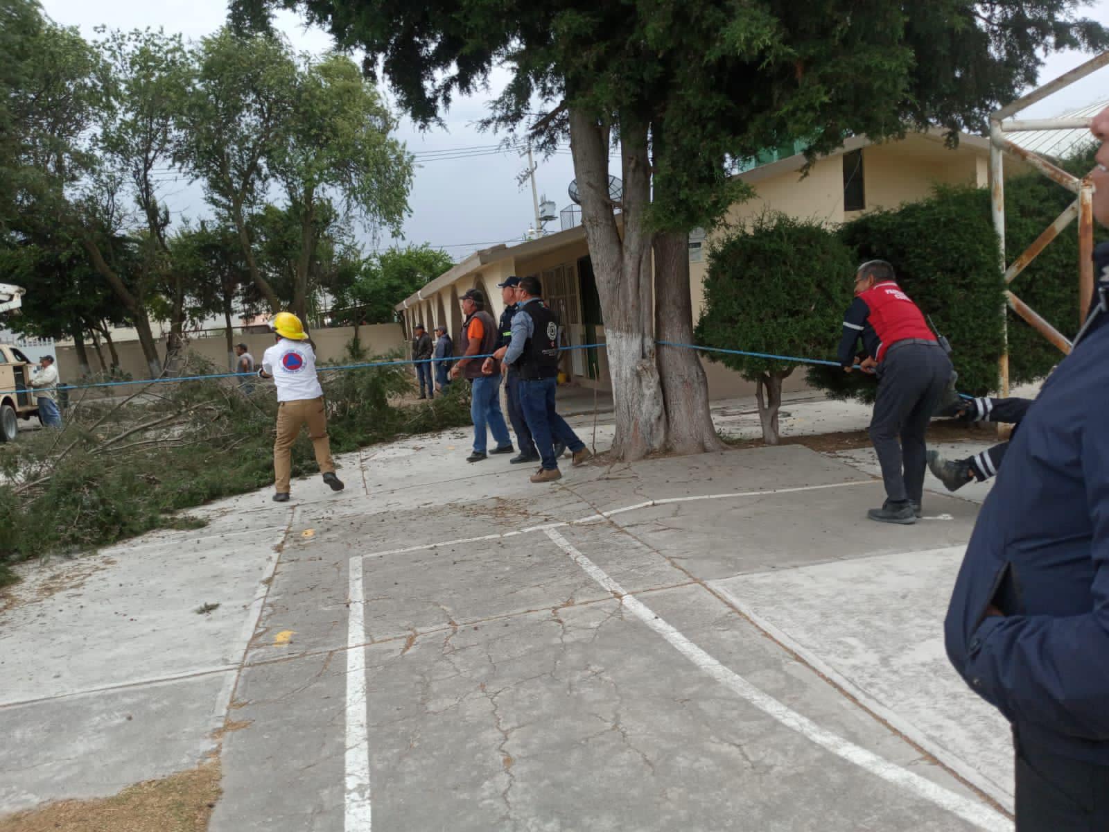 1678899858 22 Por instrucciones del presidente municipal de Tenango del Valle Roberto